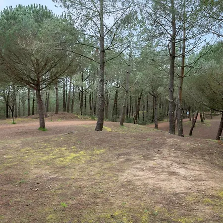 Dans Résidence Calme à 100m De La Appartement *