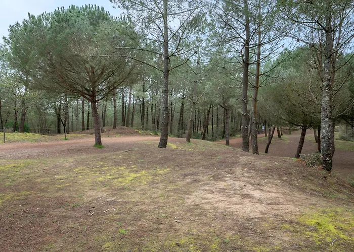 Dans Résidence Calme à 100m De La Apartamento *